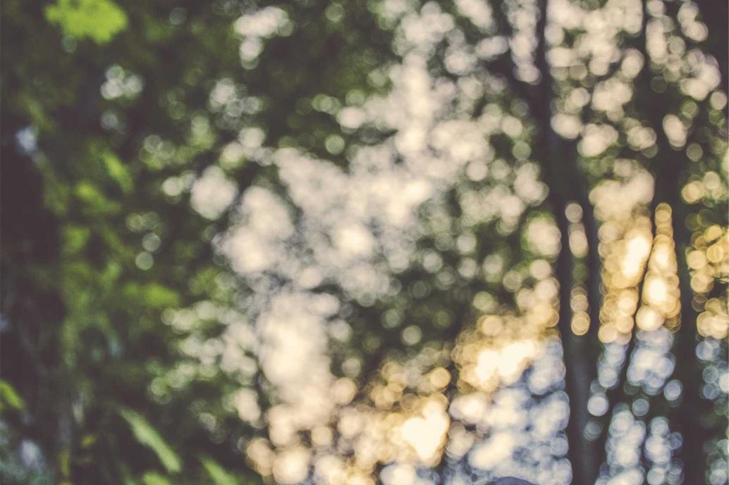 Aut aperiam iste est rerum necessitatibus omnis sint occaecati accusantium