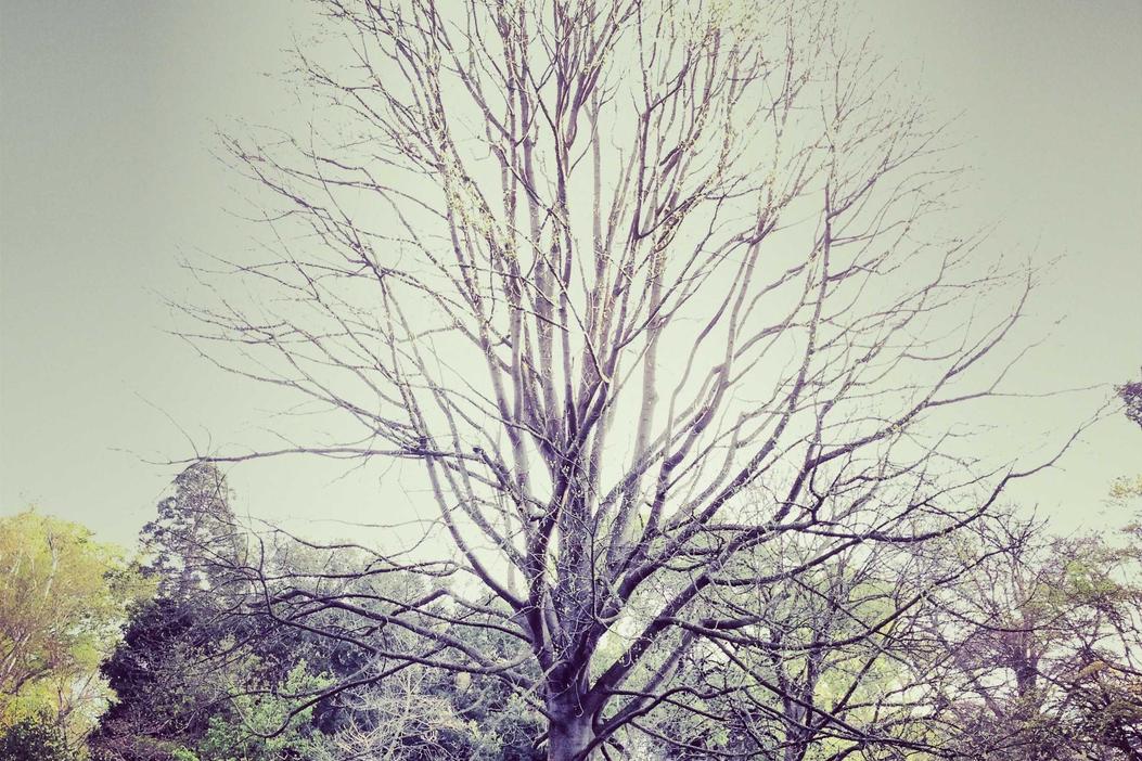 Eos molestiae quo voluptatem